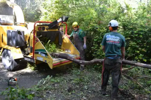 tree services Ford Heights